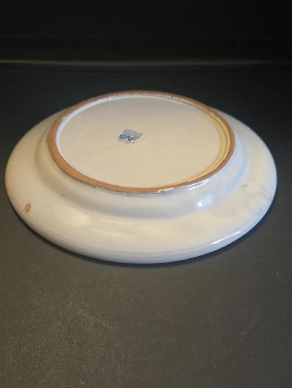 Hand Painted Ivy Leaf Ceramic Dinner Plate - Soft Green Made In Italy